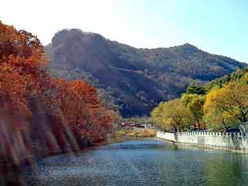 二四六天天好彩每期文字賧料—探索彩票背后的故事与魅力，二四六天天好彩背后的故事与彩票魅力探索